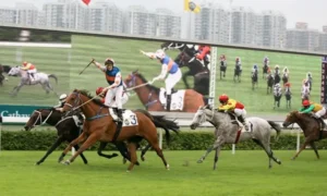 Kinh Nghiệm Tìm Hiểu Cá Cược Đua Ngựa SP666 Thắng Lớn Mỗi Ngày Cho Bạn