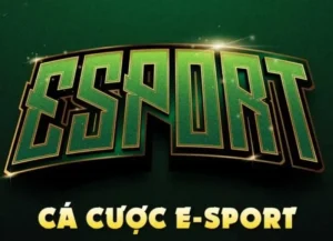 Cách Chơi Thể Thao Điện Tử Tại SP666 Chuẩn Chuyên Nghiệp
